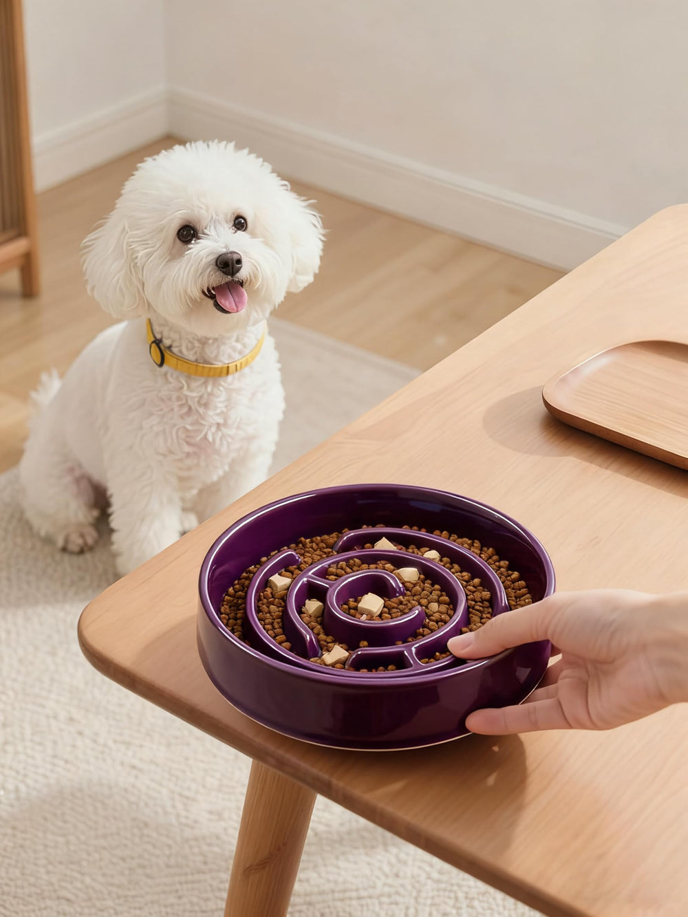 Soniuong puzzle dish supports mental stimulation during feeding.