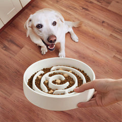 Soniuong slow feeder in white glaze for small and medium dogs at mealtime.
