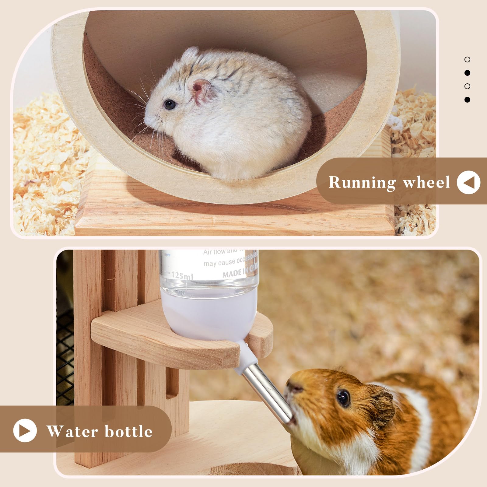 Sonwyoung small animal exercise setup helps balance and agility.