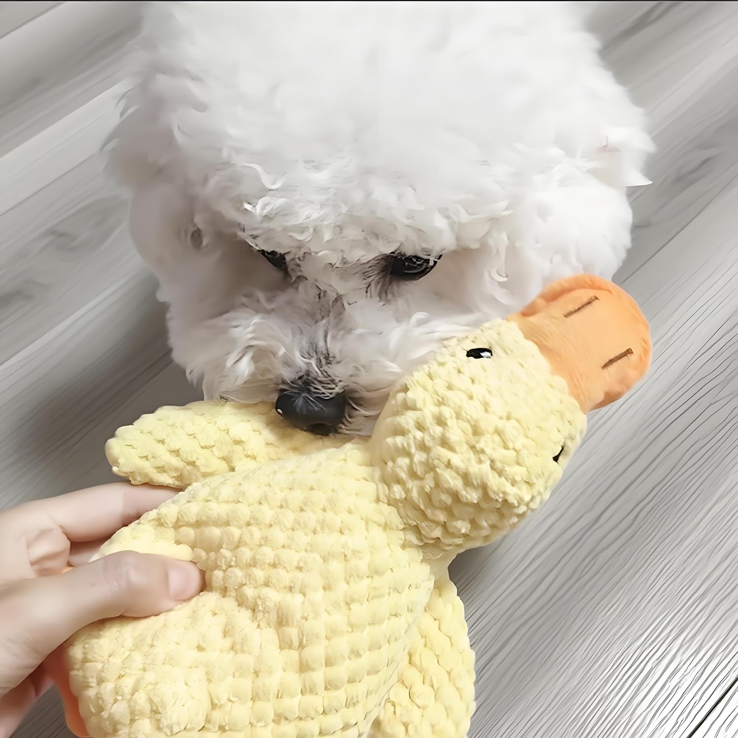 Soothing Quack Duck Toy teeth-surface close-up illustrates gentle plaque-scraping action.