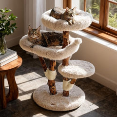 Sopapets aesthetic cat tree top bed provides a cozy lounge for large cats.