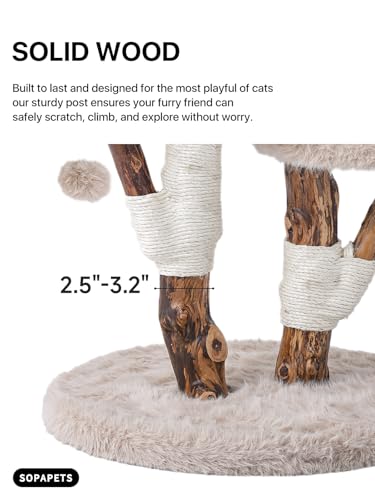 Sopapets aesthetic cat tree toy ball introduces playful enrichment and motion.