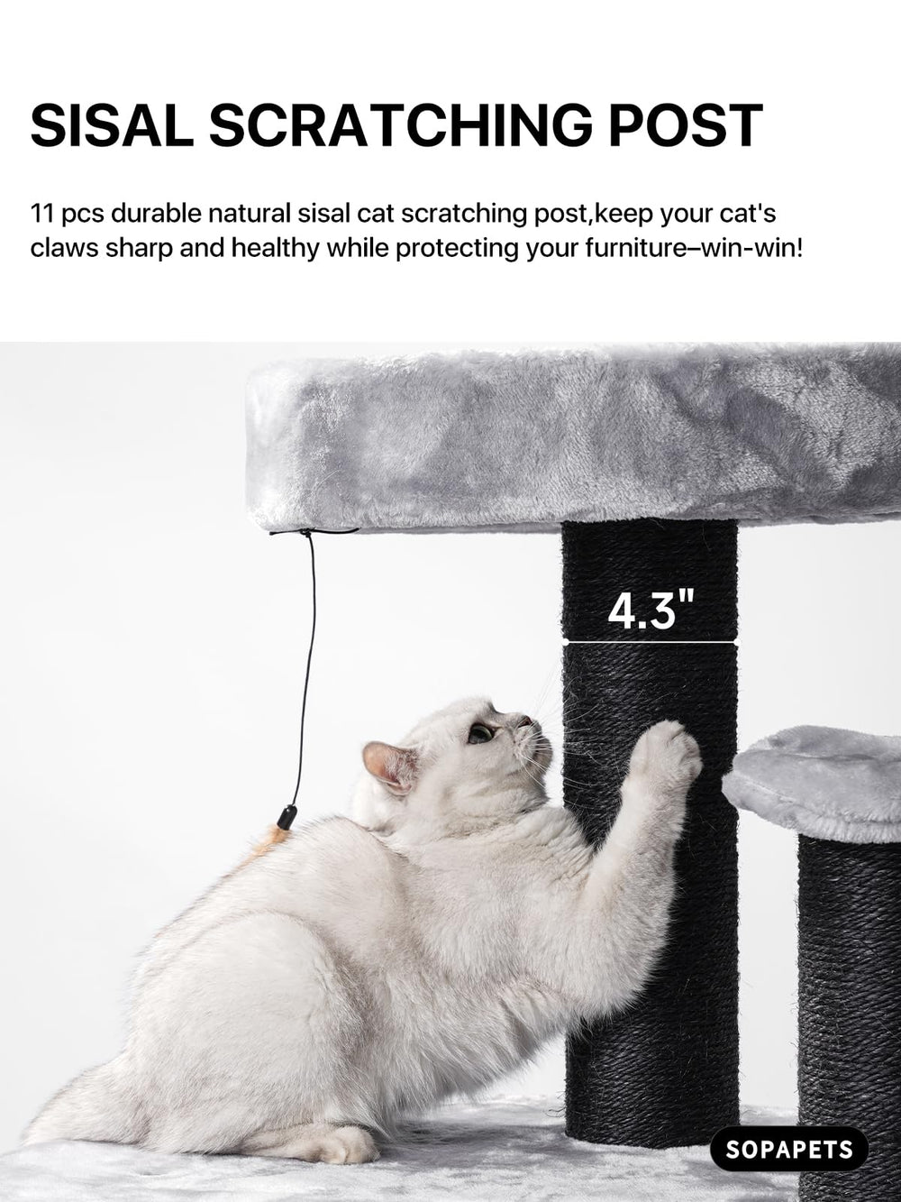 Sopapets condo and hammock offer private resting spots for shy cats.