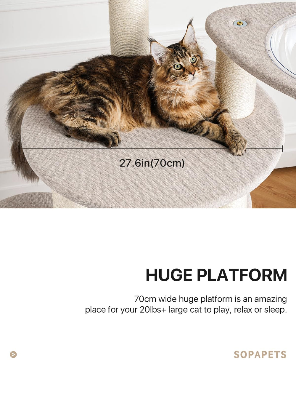 Sopapets cat tree with perch, house, and condo for lounging and retreat.