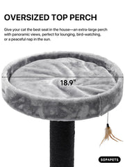 Sopapets extra-large cat tree 65 inches platforms and hammock support lounging after daylight play.