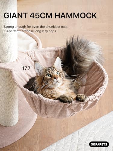 Sopapets basket and scratcher add versatile lounging and grooming areas.