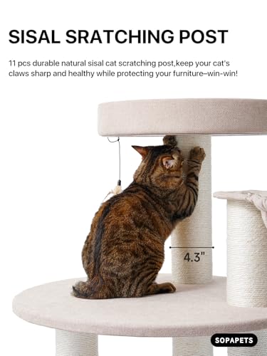 Sopapets perch and condo with plush bed offers cozy lounging for cats.
