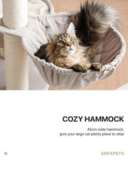 Sopapets sisal scratching post promotes healthy scratching and nail care.