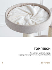 Sopapets XXL heavy-duty cat tree ensures wobble-free play for big cats.