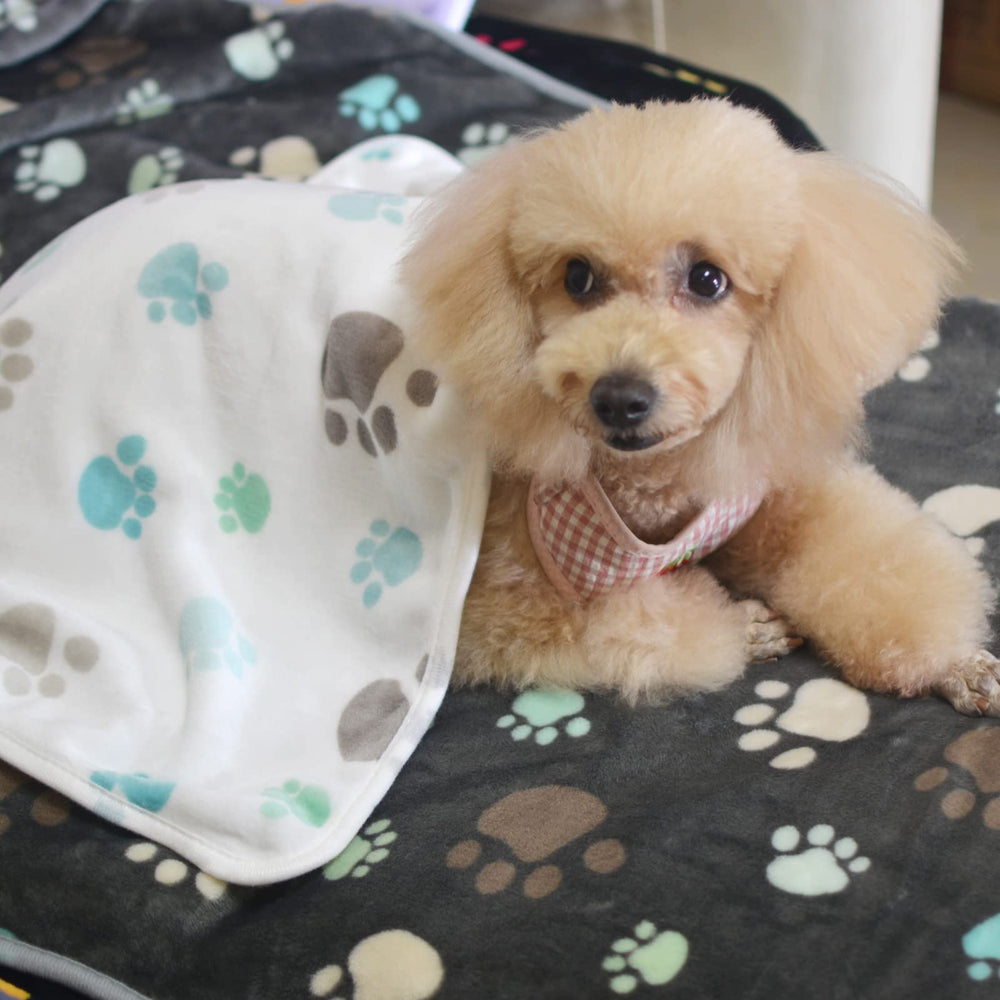 SORKUT dog-cat-carrier blanket inside provides cozy travel cover