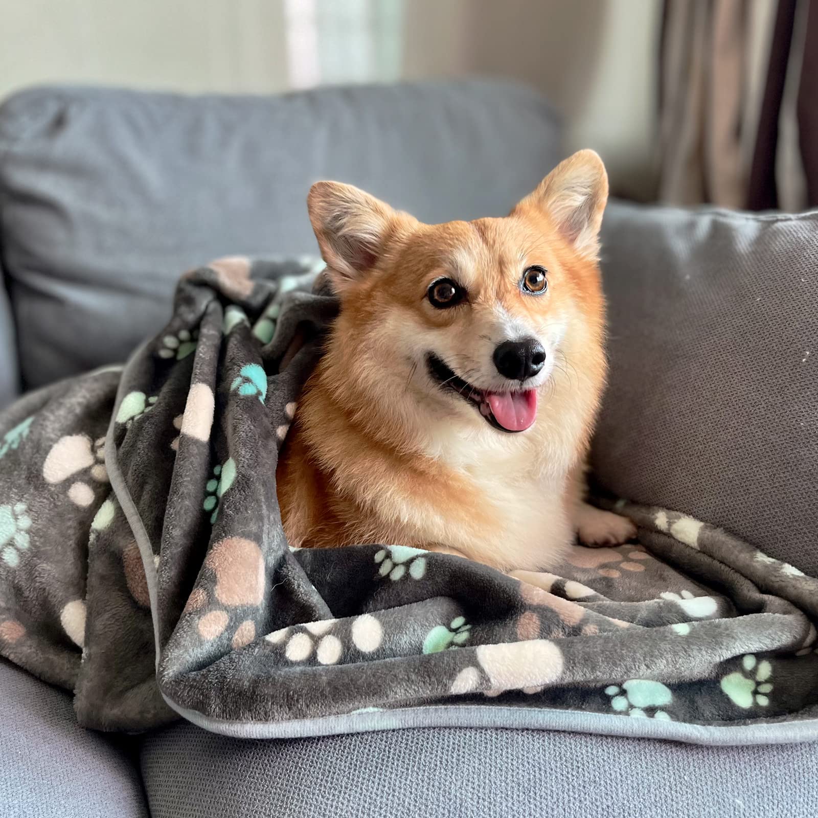 SORKUT paw-print grey blanket close-up with soft fleece texture for warm naps