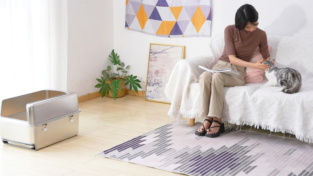 Sorstrem roomy design supports comfortable cat litter experience.