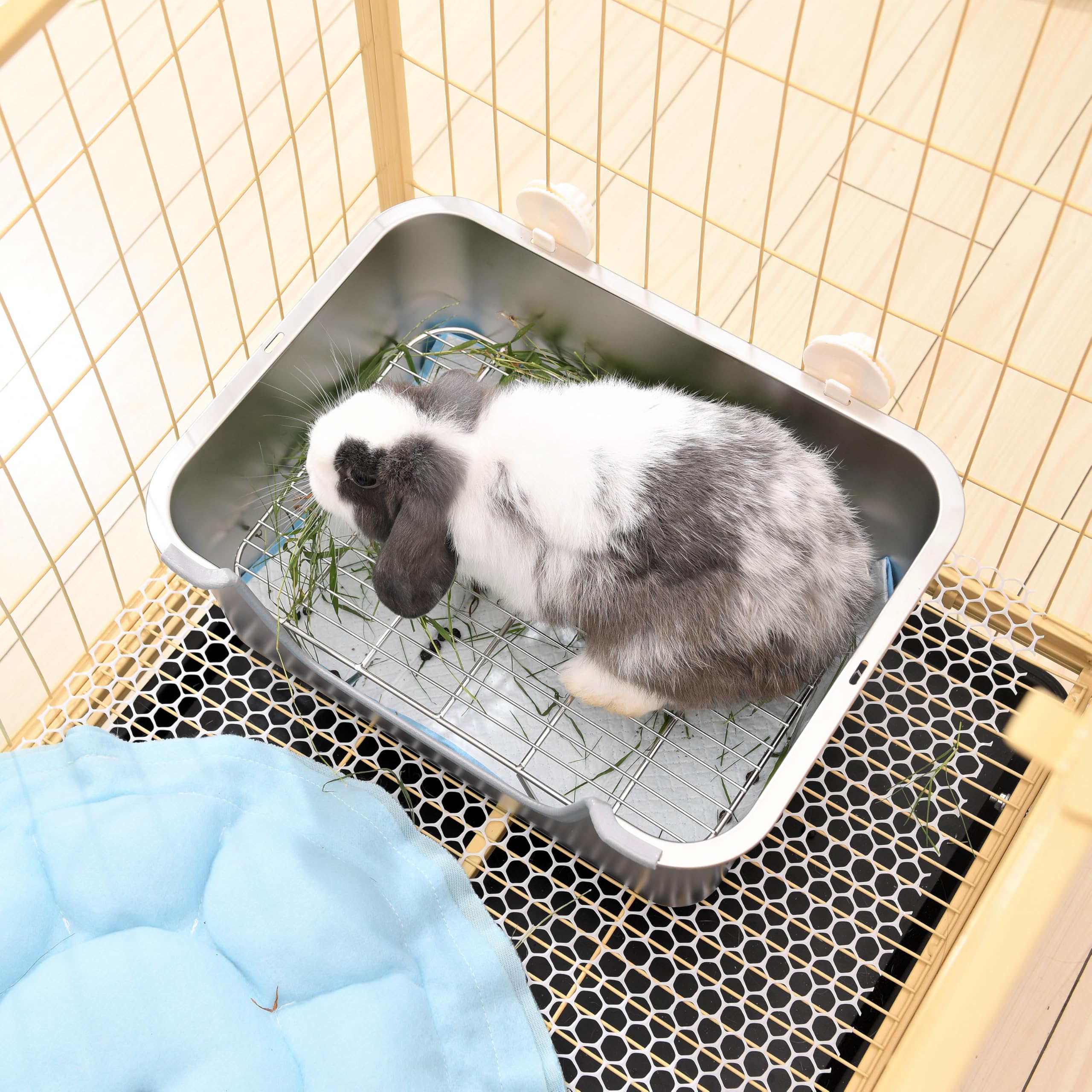 Sorstrem stainless steel sifting litter box raised border detail helps prevent spills and mess