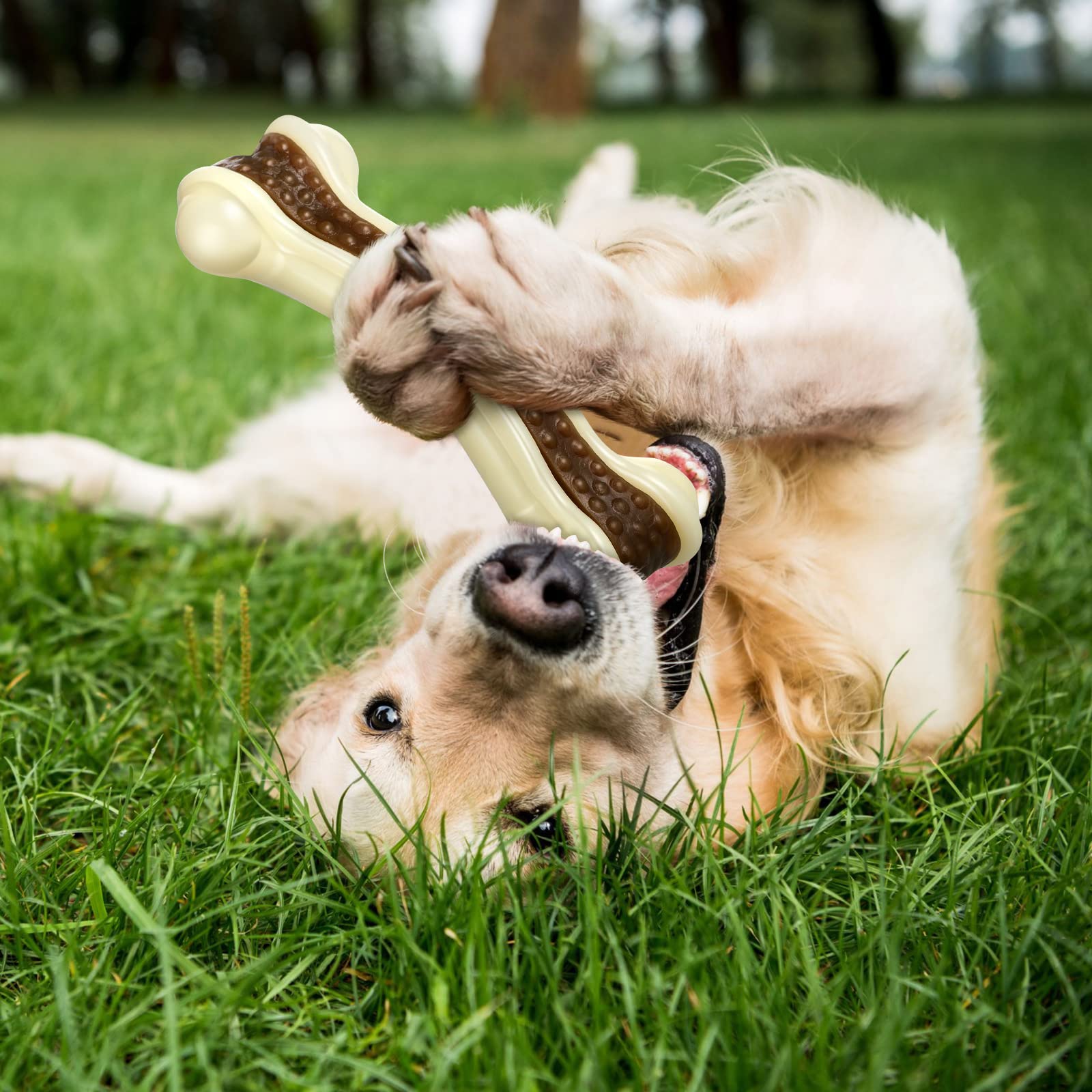 Sosation curved bone design is easy to hold and chew for dogs.
