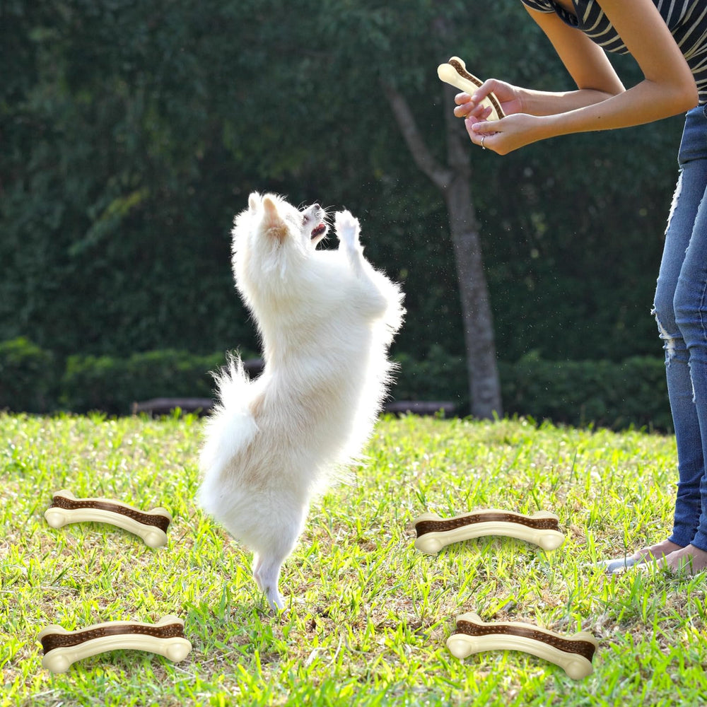 Sosation large-breed nylon chew toy promotes lengthy interactive chewing.