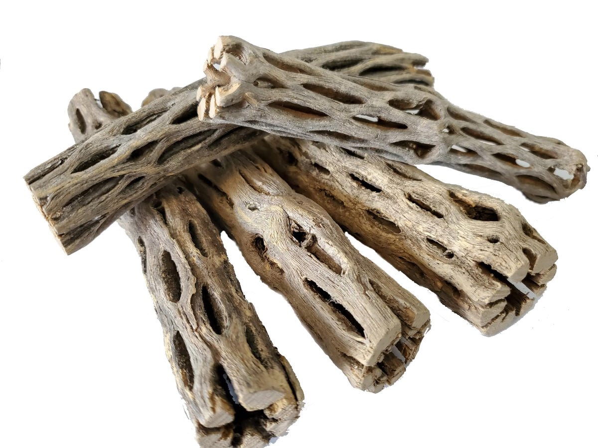 SoShrimp cholla wood aquarium décor with natural branches for hiding spots.