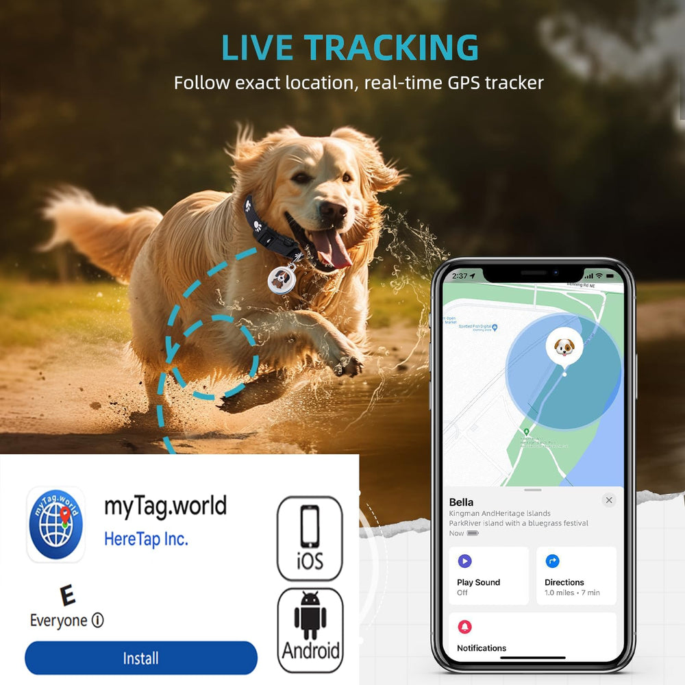 Sotfkd app map view shows precise location history.