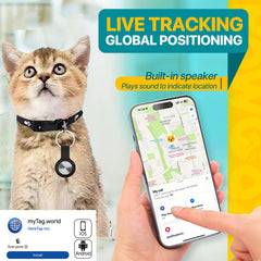 sotfkd tracker on dog collar clearly displaying live location for quick reunions
