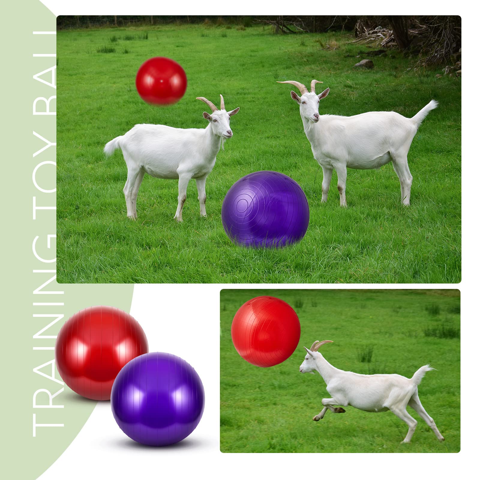 Sotiff ball in action with dogs and horses for interactive play.