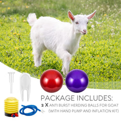 Sotiff inflation kit included for quick, easy setup.