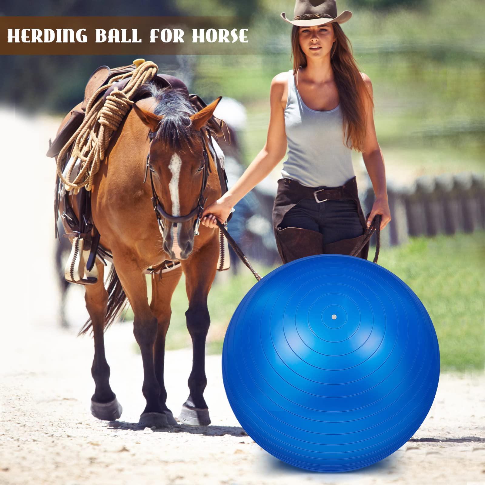 Sotiff horse ball training use-case enhances engagement and exercise