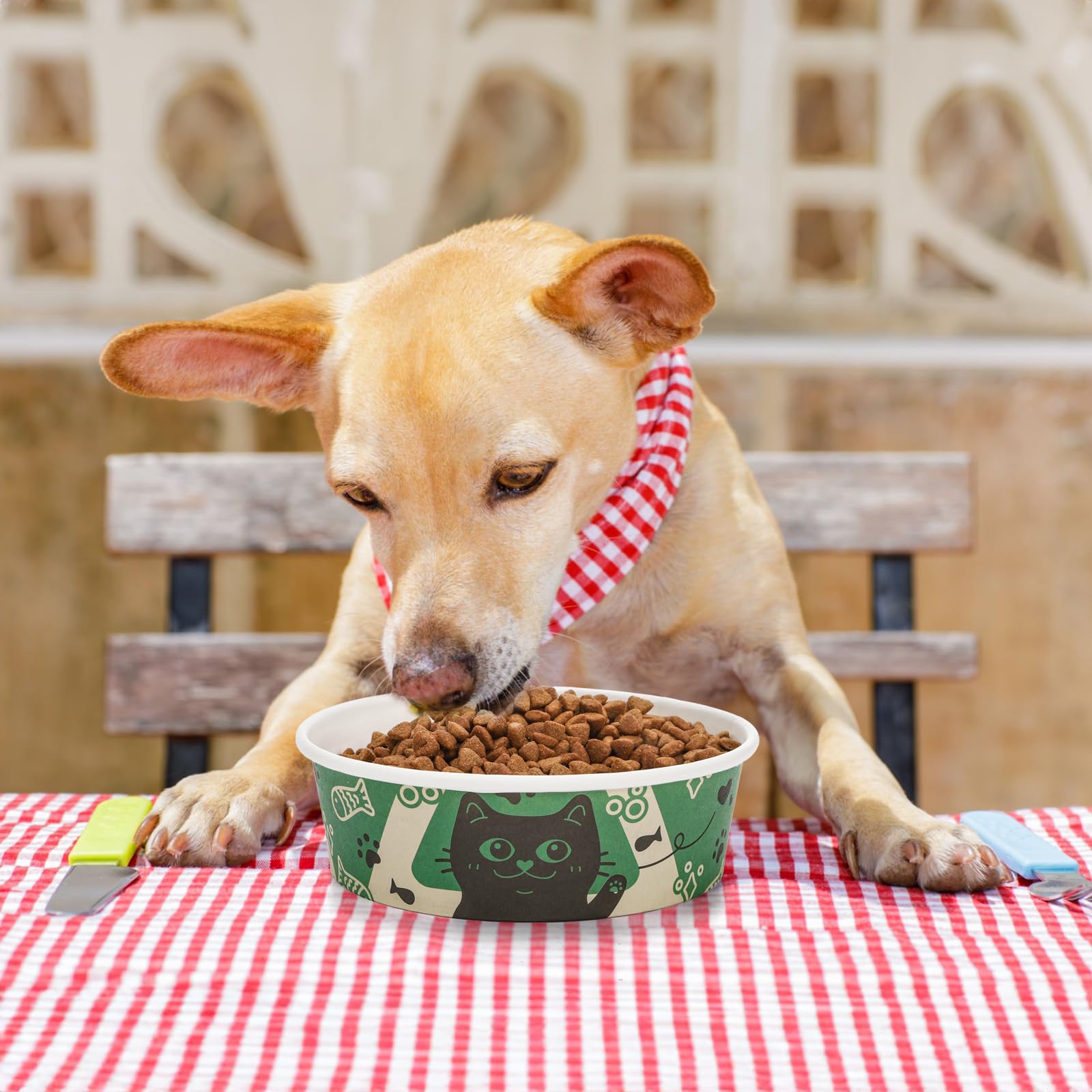 SOUJOY disposable bowls simplify cleanup after meals and play.