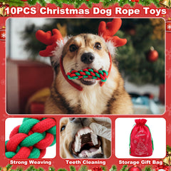 Soulchen candy rope toys offering textured chewing fun and engagement