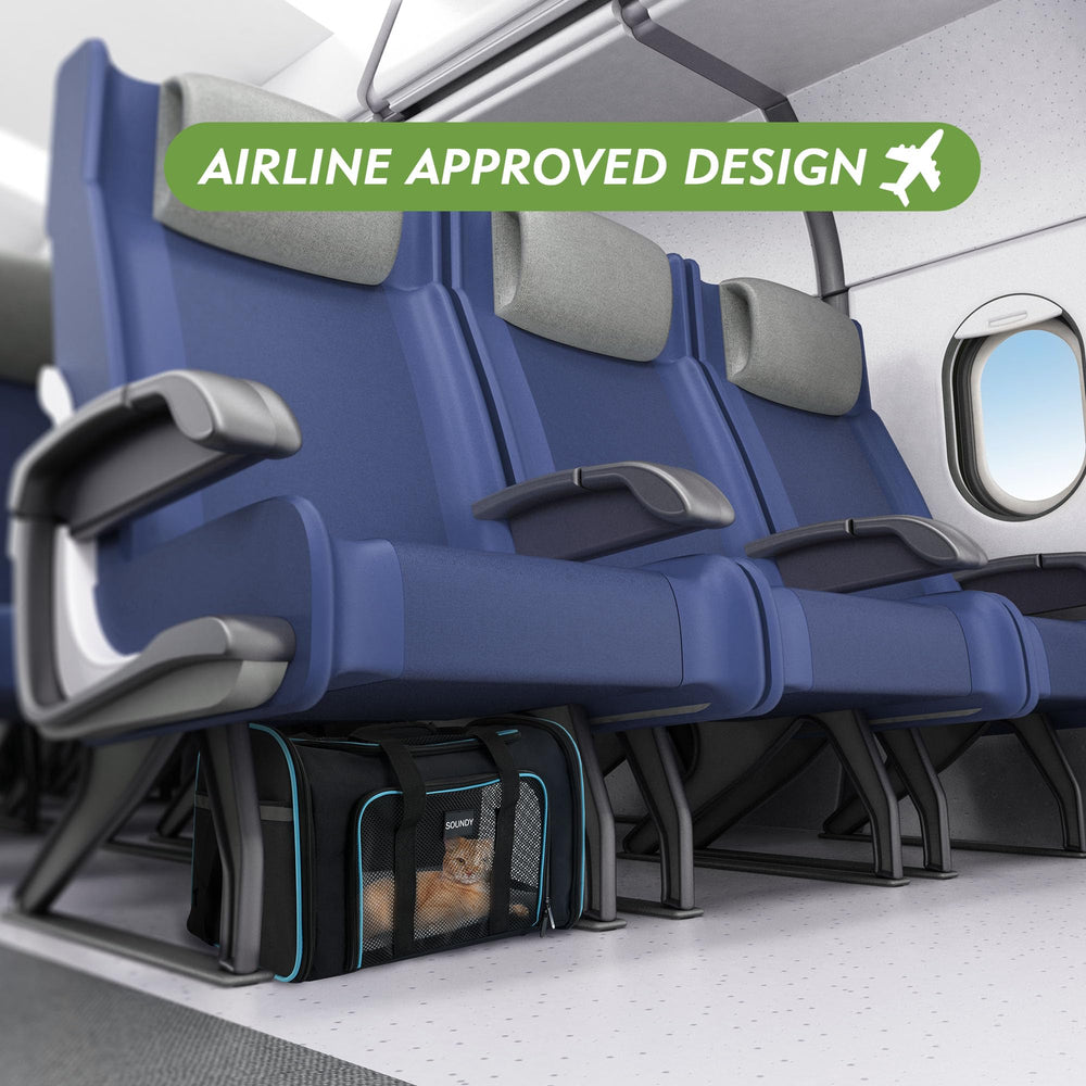 Soundy carrier collapsible design illustrates easy folding for storage