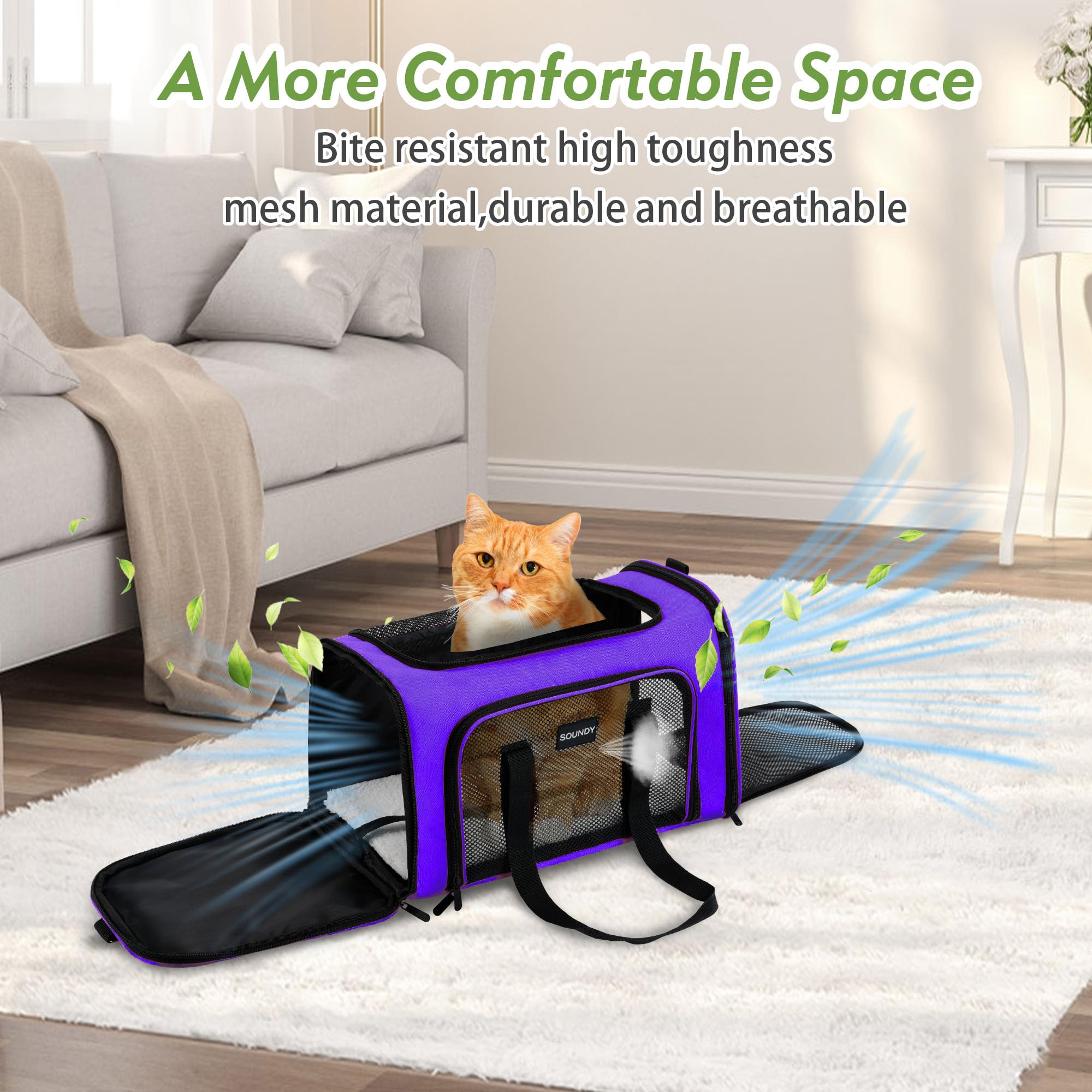 Soundy carrier folds flat for compact storage when not in use.