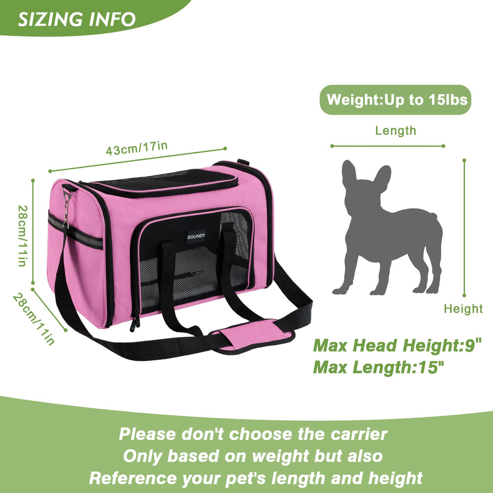 Soundy carrier with handle and shoulder strap for versatile carrying
