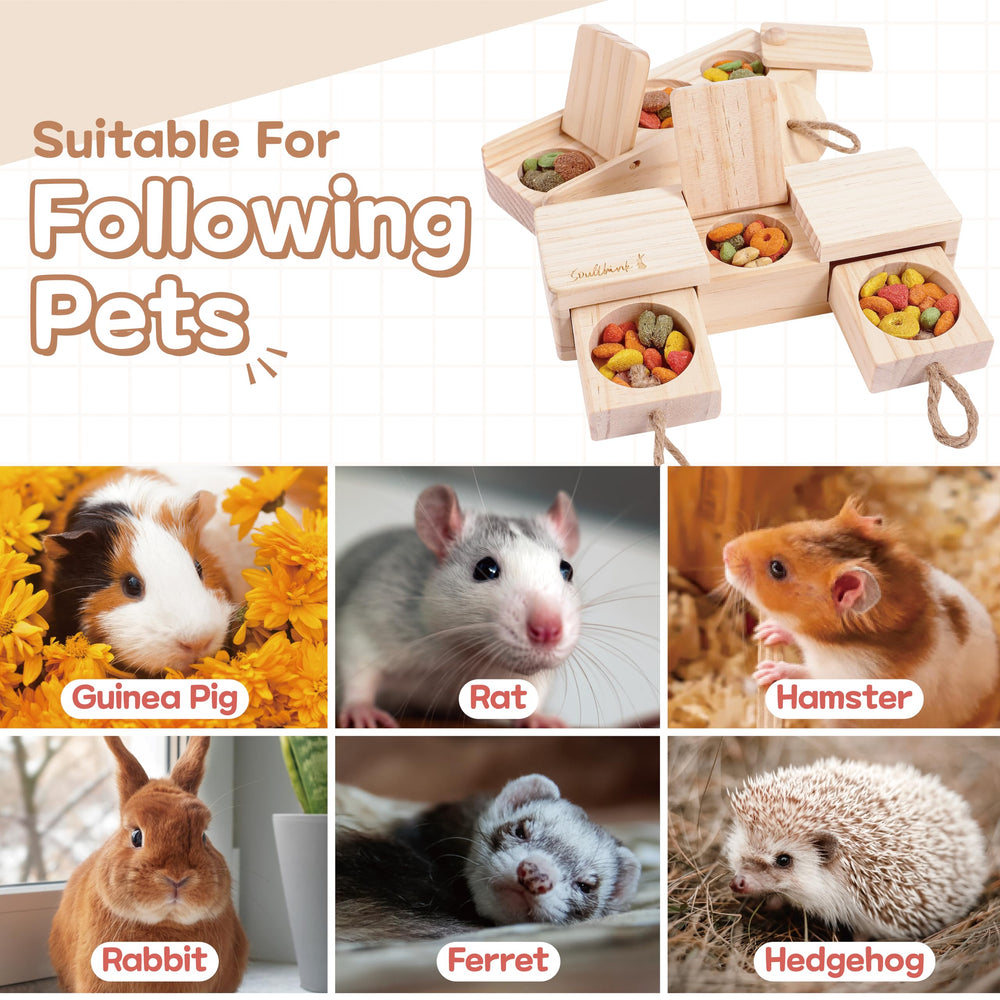 southink sniff-slide-pull-flip surprise box shows bunny enrichment play
