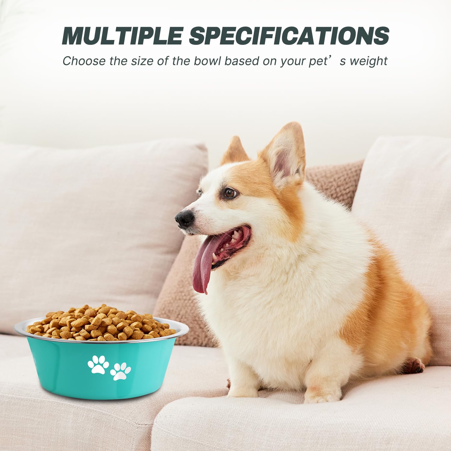 SOUXU stainless steel dog bowl green easy-clean interior