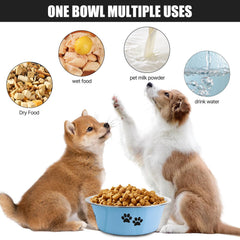 SOUXU stainless steel dog bowl with silicone chassis for non-slip stability during meals.