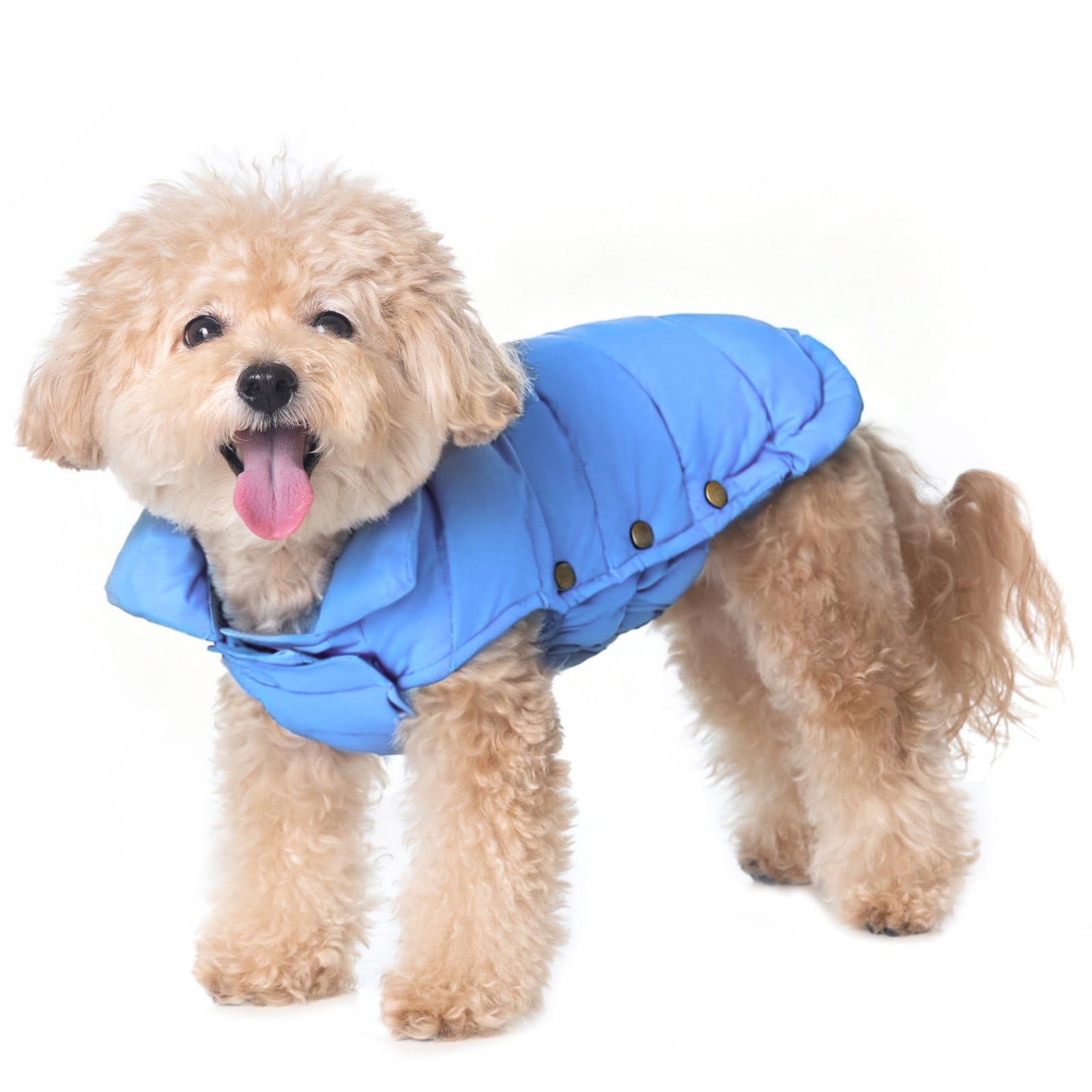 Space Lion dog puffer jacket front view in Alaskan Blue promotes cozy winter warmth on daily walks.