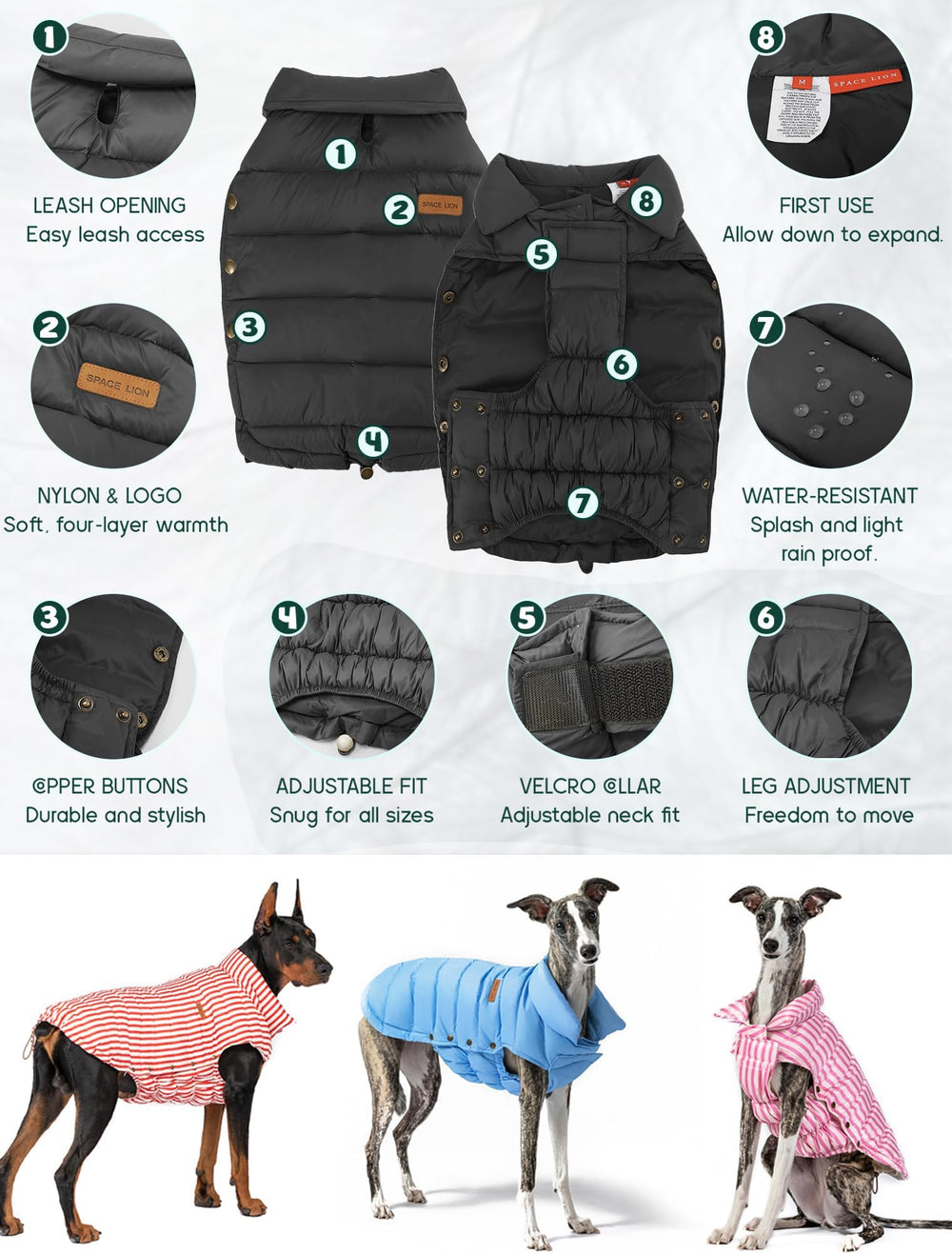 SPACE LION chest adjustment ensures secure fit for active outdoor dogs.