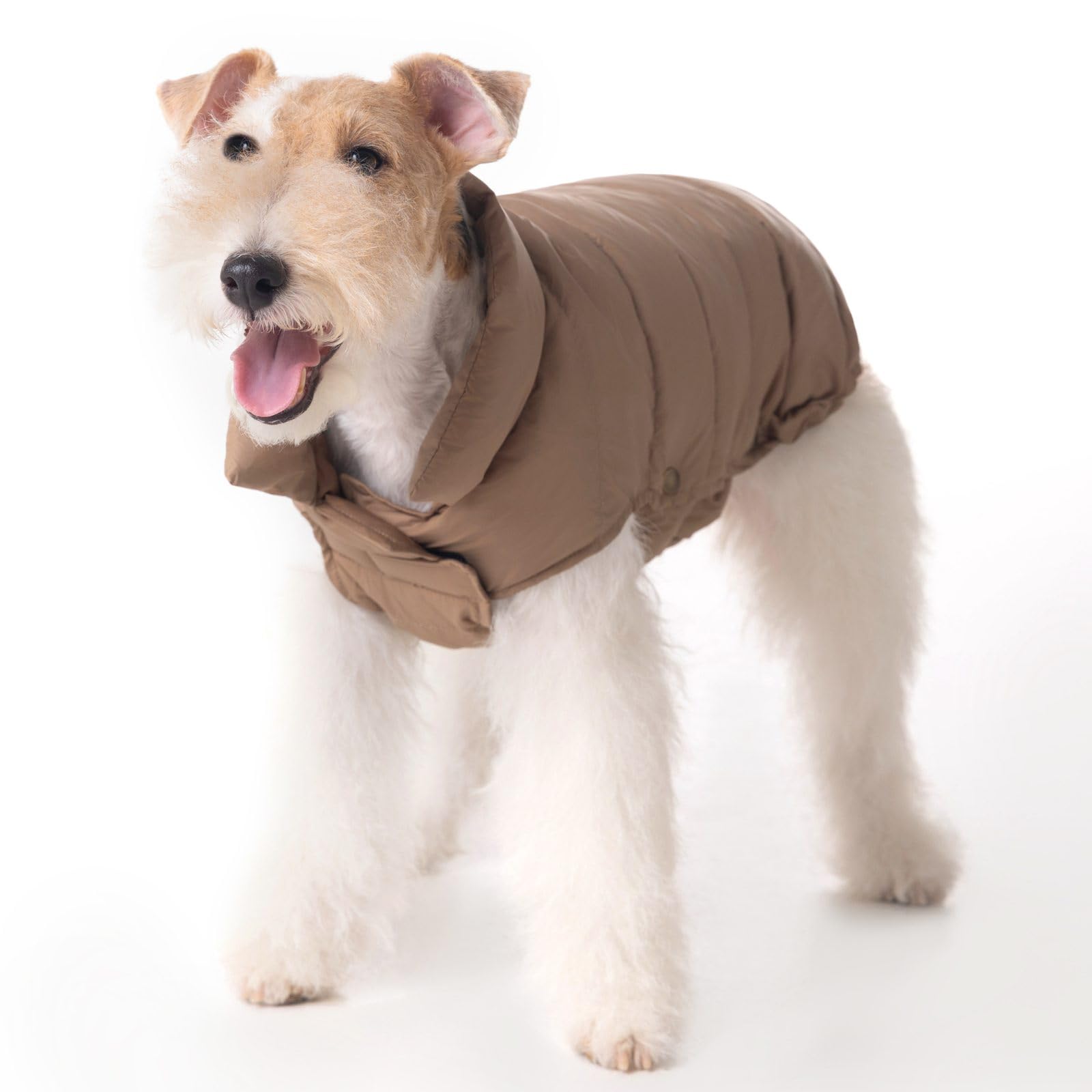 Space Lion dog puffer jacket close-up fabric texture showing warmth and water-repellency.