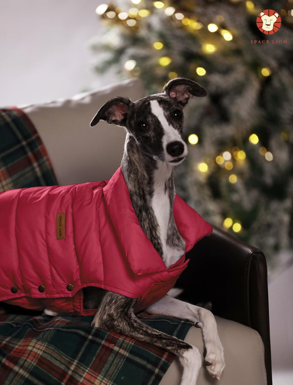 SPACE LION five-layer windproof design, reliable warmth