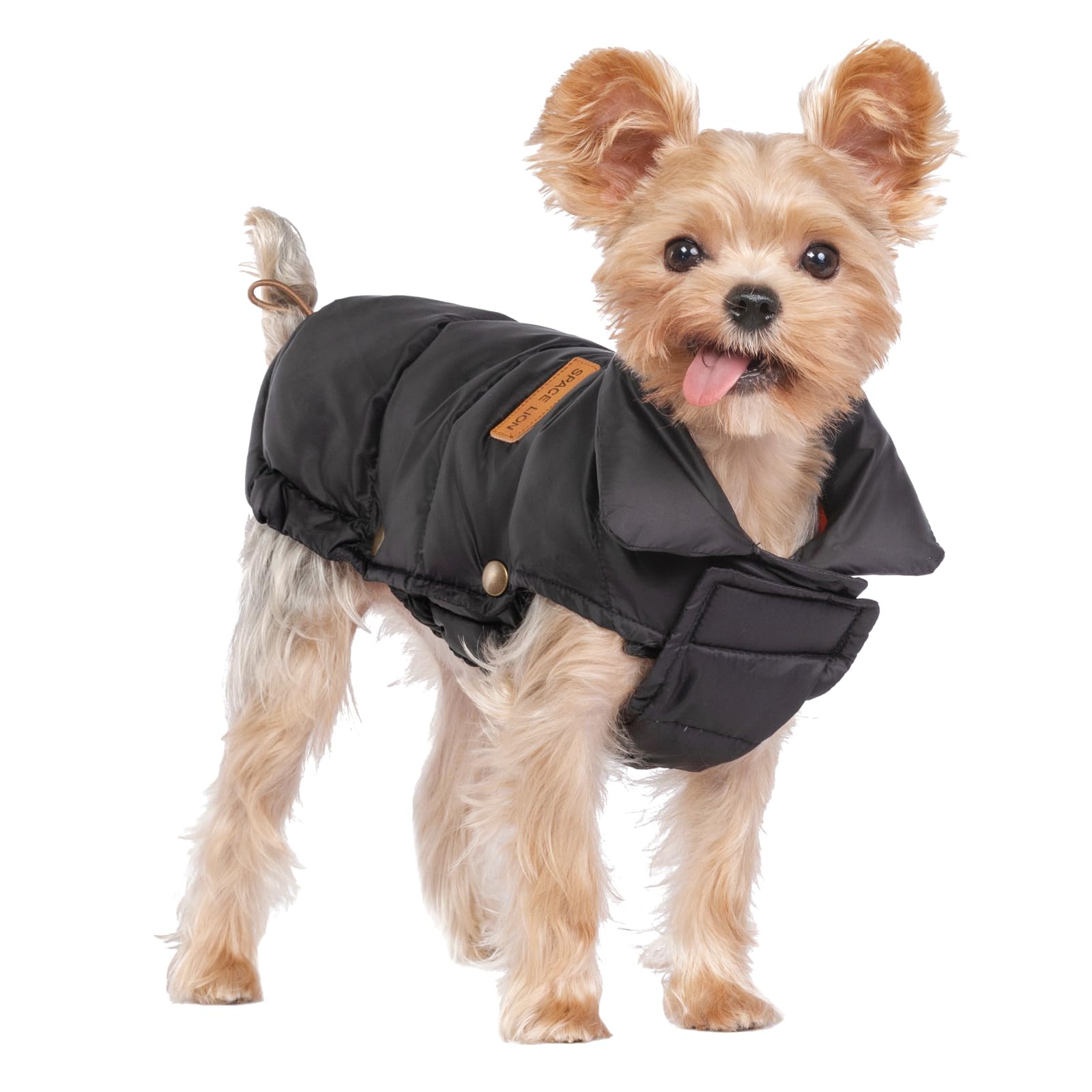SPACE LION dog puffer jacket front view in black size 8/XS showing snug fit.