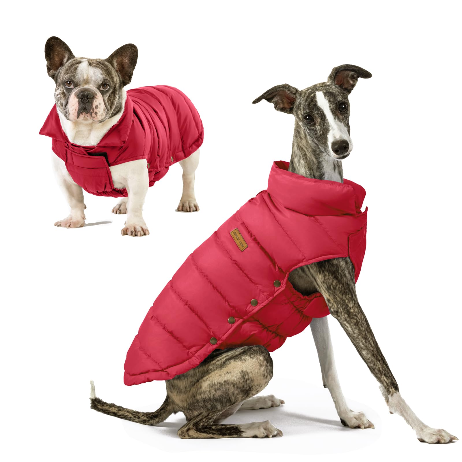 SPACE LION Dog Puffer Jacket front view shows lightweight warmth for cold walks