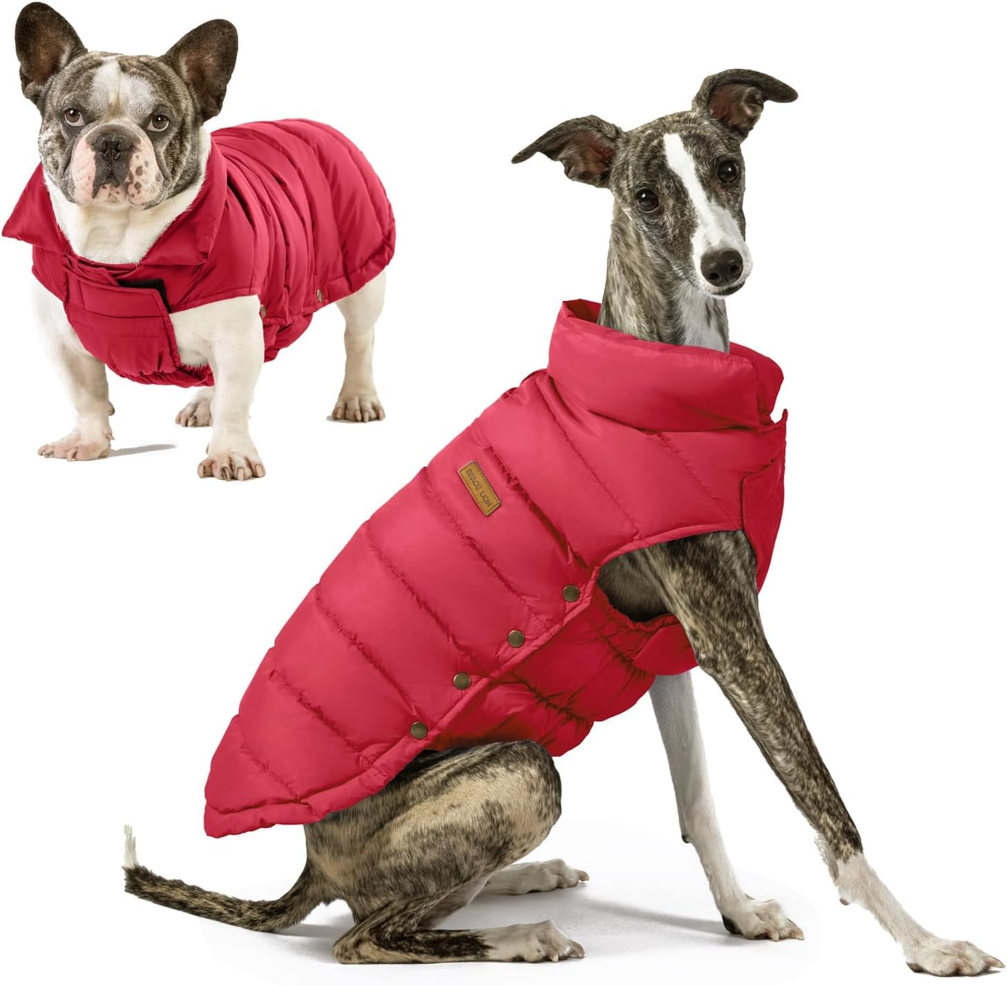 SPACE LION dog puffer jacket front view shows lightweight warmth for winter walks