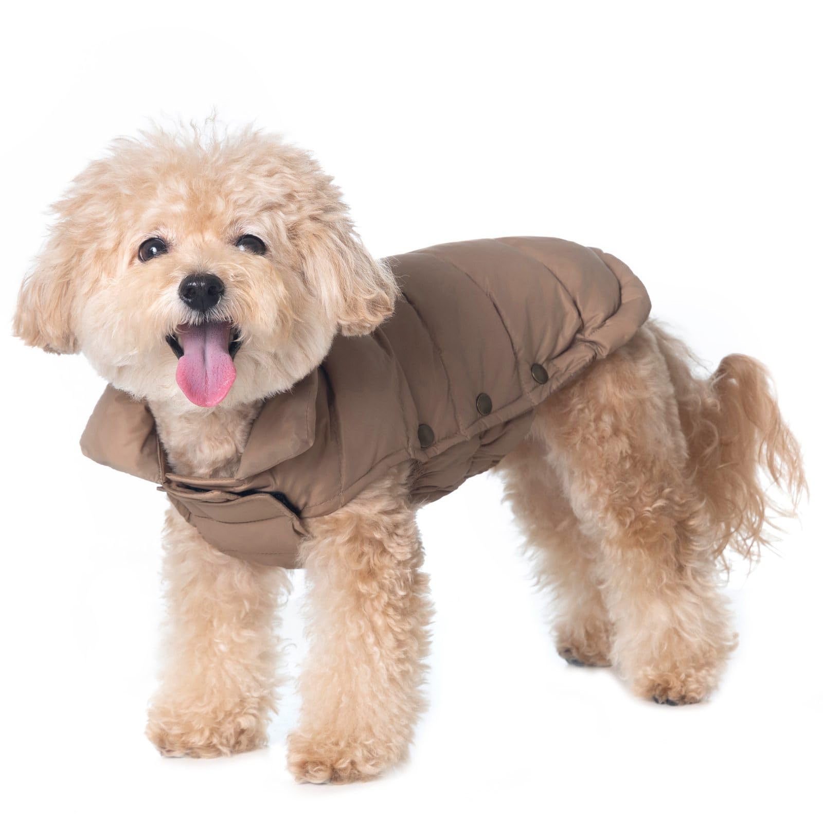 Space Lion dog puffer jacket front view showcases snug warmth for cold walks.
