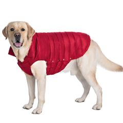 SPACE LION dog puffer jacket front view, cozy warmth for winter walks