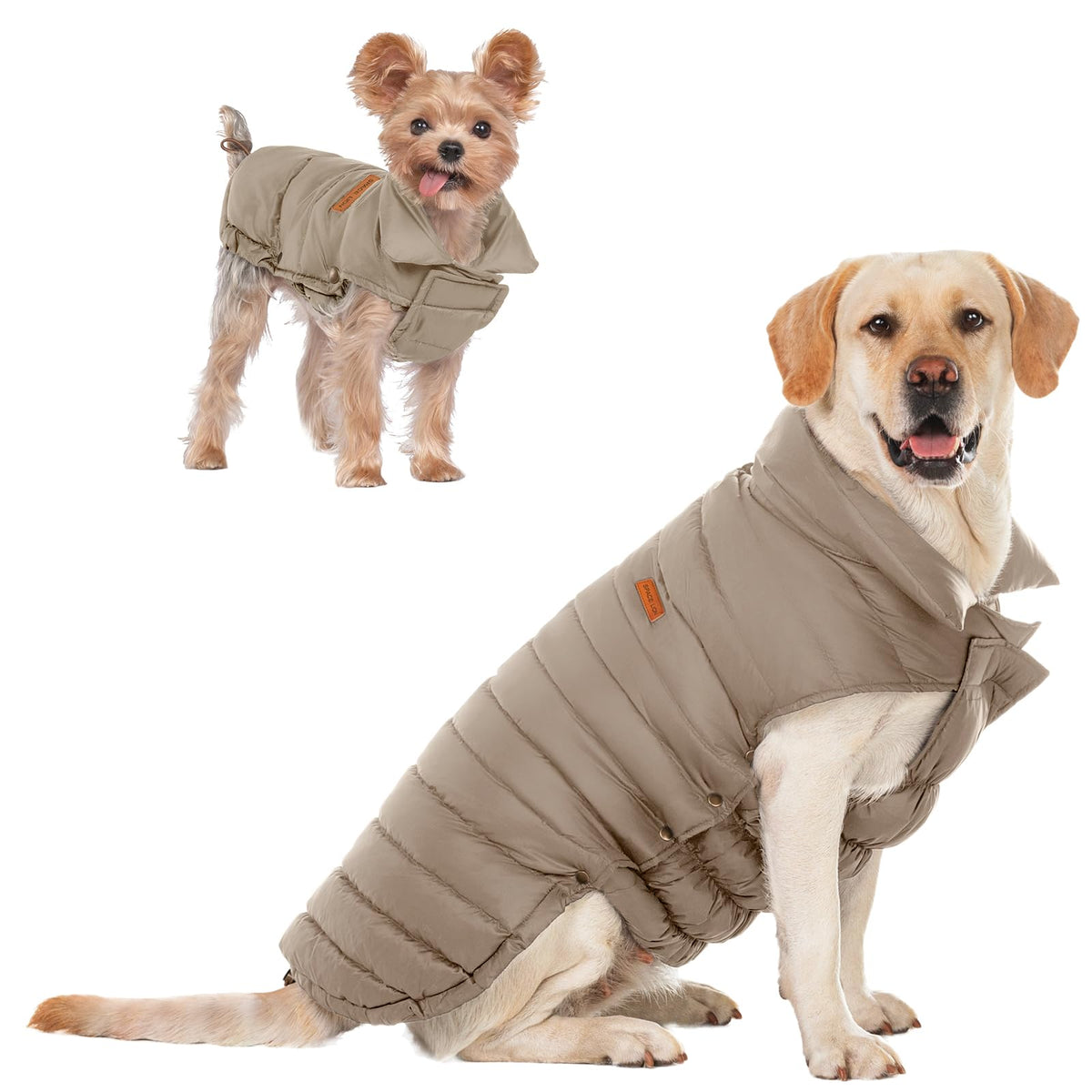 SPACE LION dog puffer jacket front view with adjustable neck and chest for secure outdoor wear