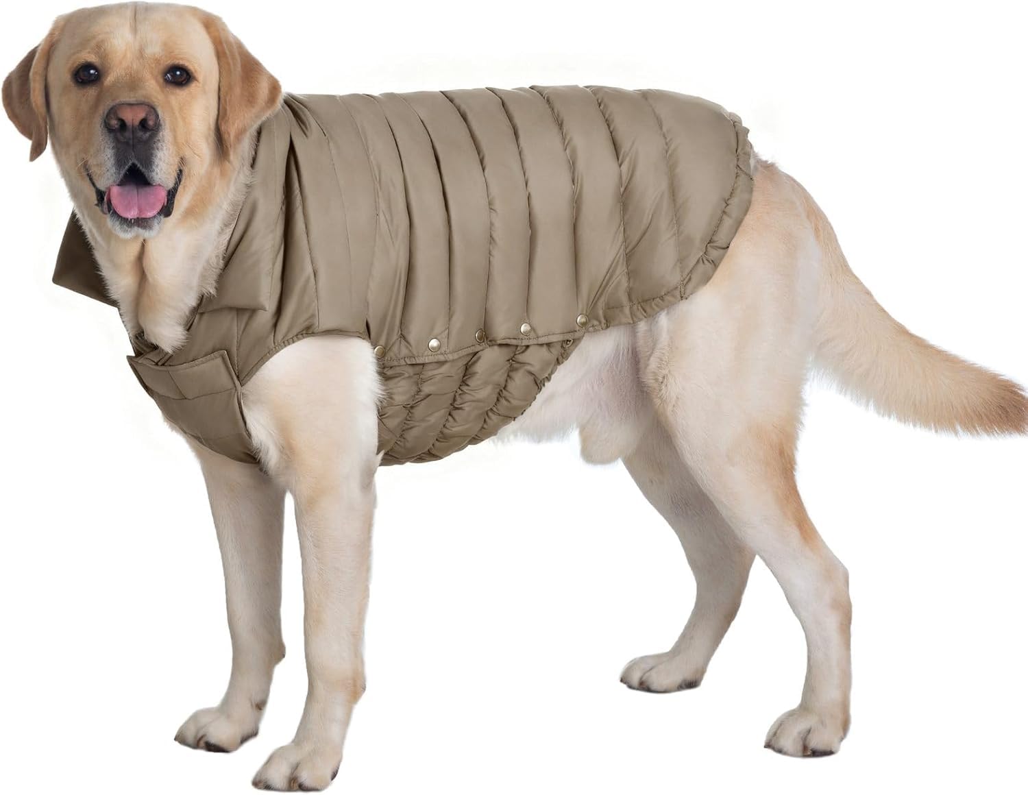 SPACE LION dog puffer jacket khaki back view with full coverage