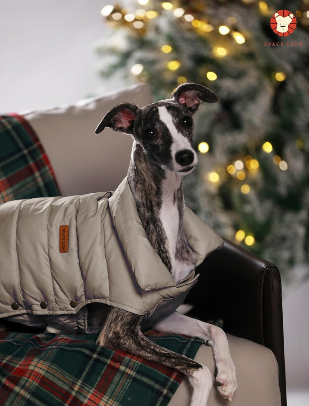 SPACE LION dog puffer jacket khaki easy-care tumble-dry icon