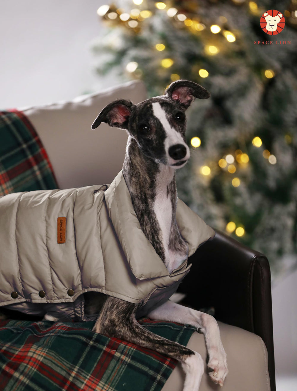 SPACE LION dog puffer jacket tail drawstring close-up for length customization