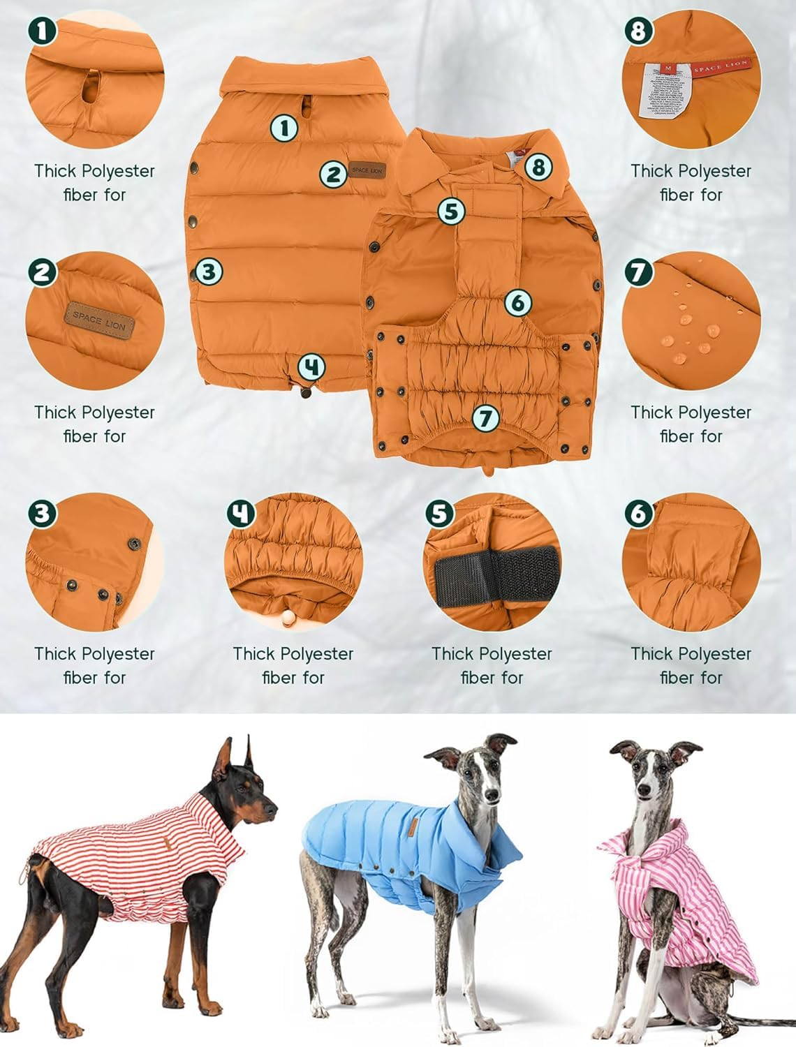 SPACE LION neck and tail adjustability for secure fit