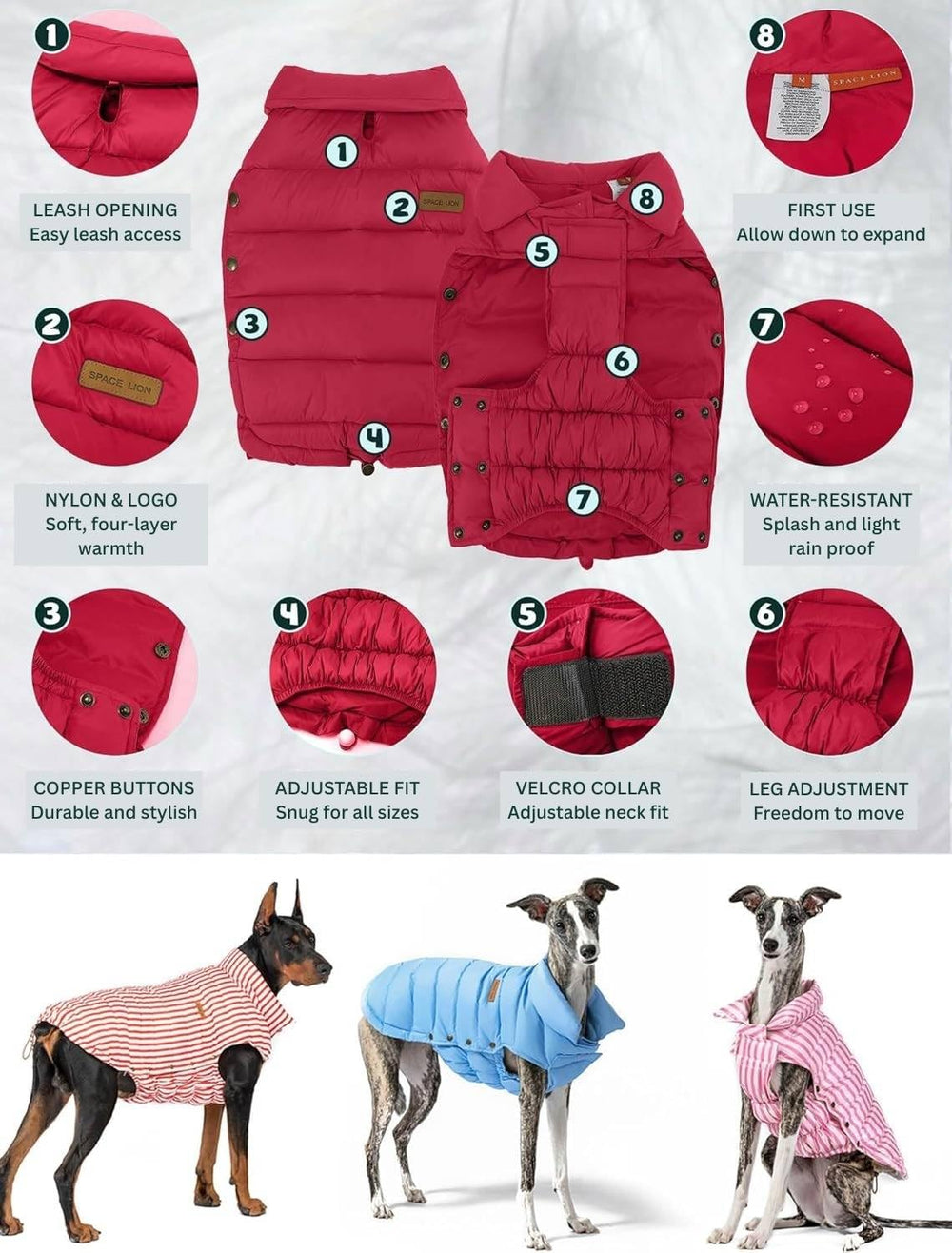 SPACE LION neck and tail adjustability, customized comfort
