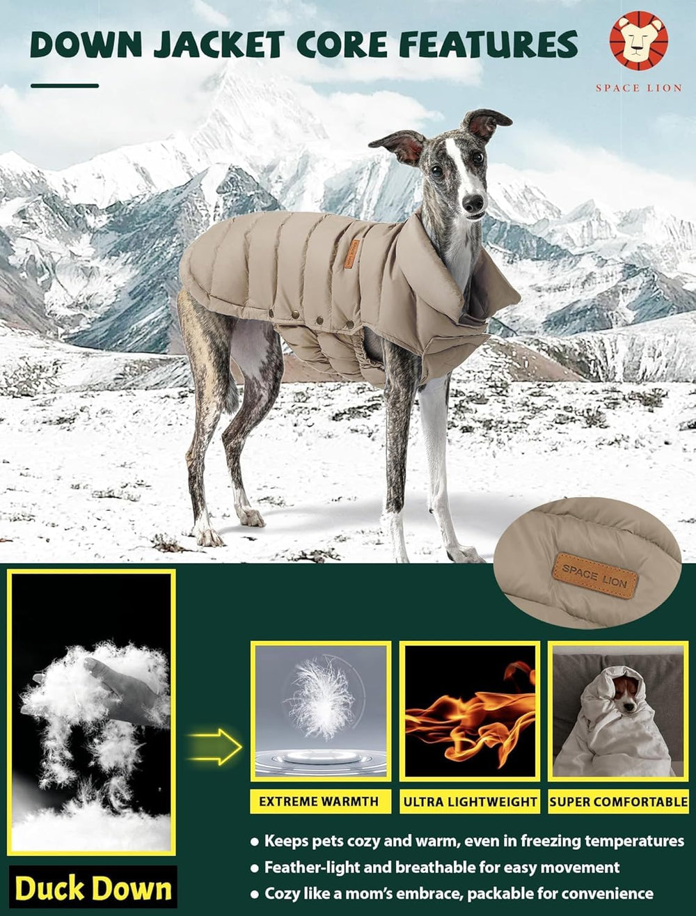Space Lion dog puffer jacket worn on a dog during a walk in chilly weather.