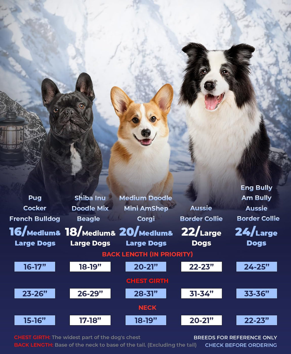 SPACE LION duck-down warmth layer emphasizes high-performance insulation for chilly days.